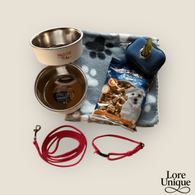 Starter Box – Grundausstattung für den Alltag Hundenapf, Leckerlis, Decke, Leine und Ball auf einem Tisch arrangiert.